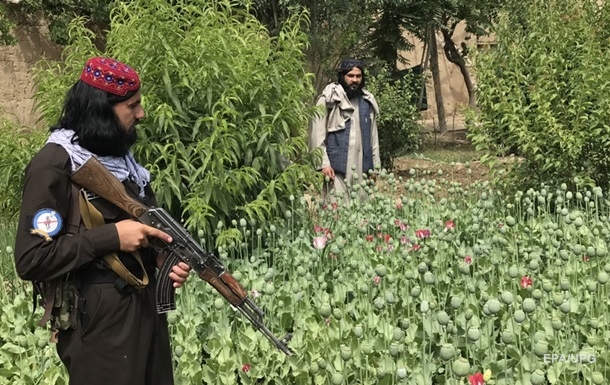 В Афганистане выросло производство наркотиков - Душанбе