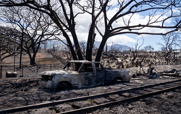 Лісові пожежі на Гаваях: загинули майже 100 людей