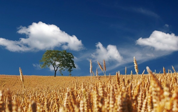 holidays-august-16-name-day-traditions-buna-time