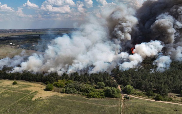 На Миколаївщині горить Андріївське лісове урочище