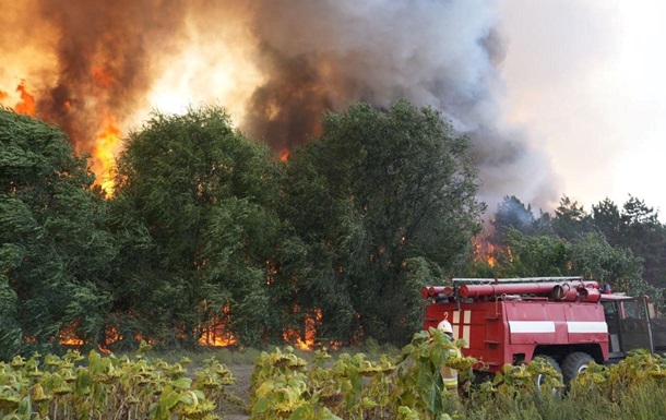 Площа пожежі в лісі на Миколаївщині збільшилася вдвічі