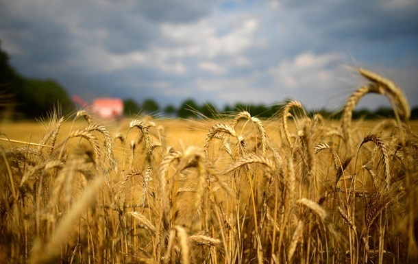 Україна експортувала понад 3,6 млн тонн зернових