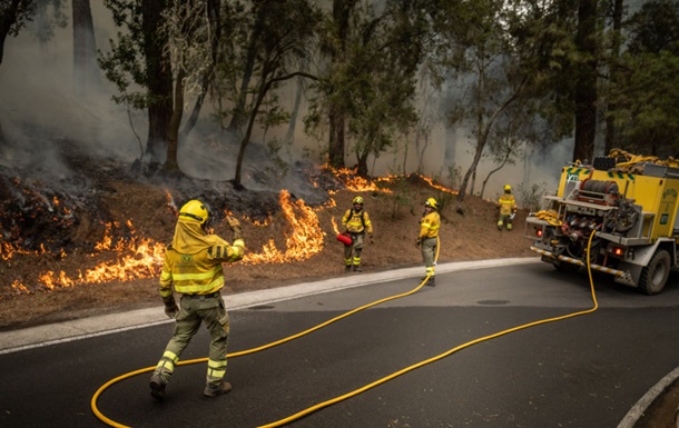 Вогонь знищив майже третину лісів на Тенерифе