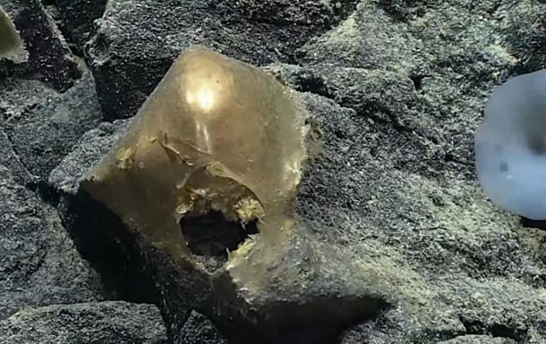Mysterious golden egg found near underwater volcano in Alaska