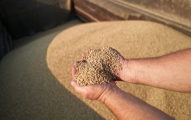 Farmers sell wheat in the Danube ports at a loss of up to 60% – representative of the people