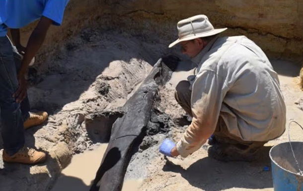 В Африке археологи нашли деревянную конструкцию, которой почти 500 тыс. лет