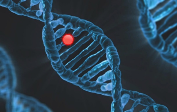 ИИ от Google научился предсказывать генетические заболевания