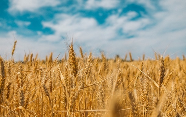 Ukraine reduced exports of agricultural products in September