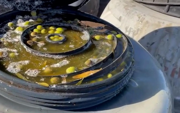 В Испании изъяли украденные оливки стоимостью €500 тысяч