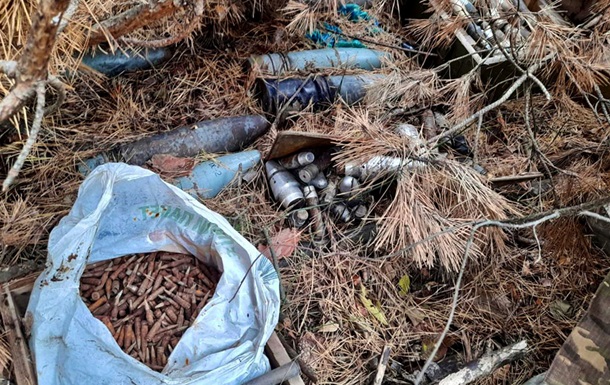На Житомирщині грибник виявив у лісі схрон з боєприпасами