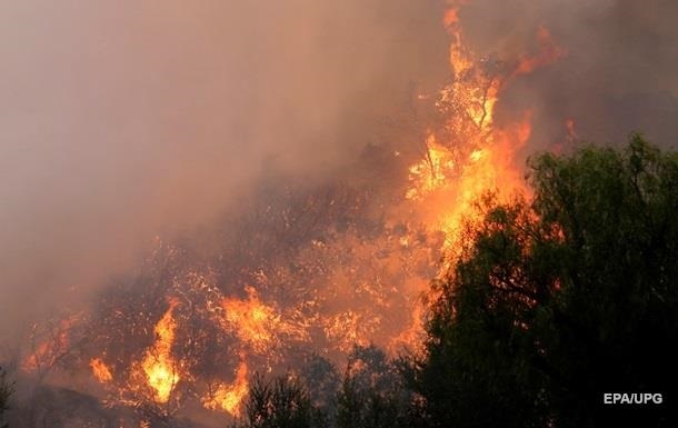 В Австралії вирують 53 лісові пожежі: евакуйовано 200 людей, є загиблий