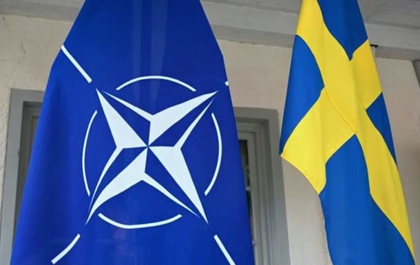 Обмен, достойный уступки: почему Эрдоган пропустил Швецию в НАТО