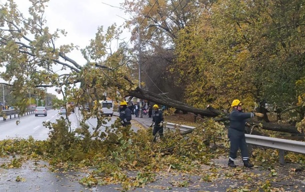У Києві повалено сотні дерев через негоду