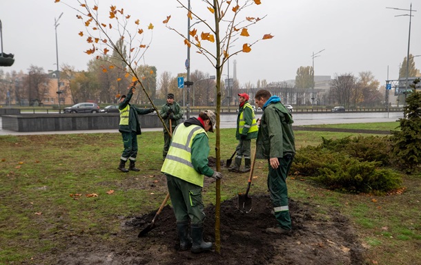 В Киеве начали высаживать стойкие к ураганам деревья