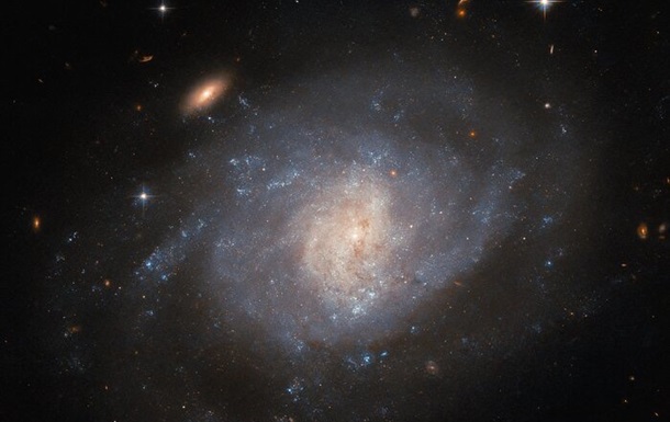 Hubble photographed a spiral galaxy located in the constellation Cetus
