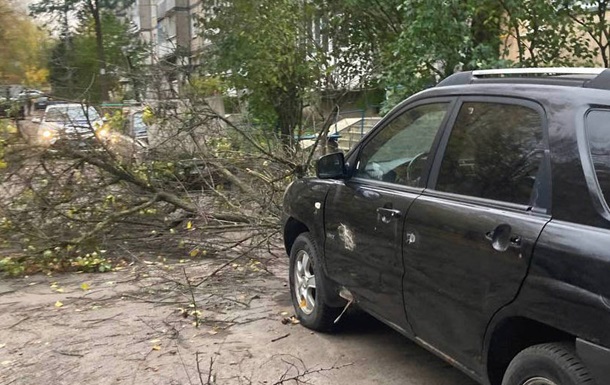 В окупованому Сімферополі буревій за добу повалив 40 дерев