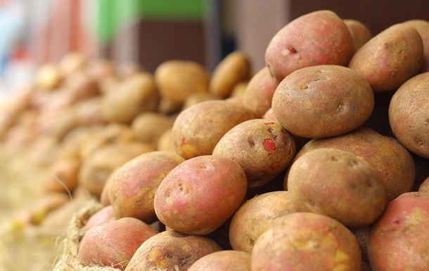 В Украине собрали 29 млн тонн овощей: лидером урожая стал картофель