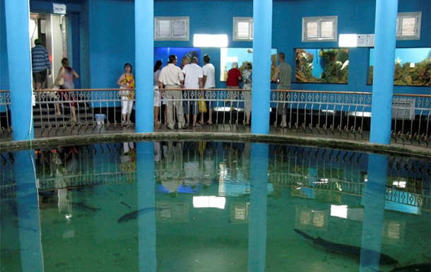 В Севастополе из-за непогоды погибли 800 жителей музея-аквариума