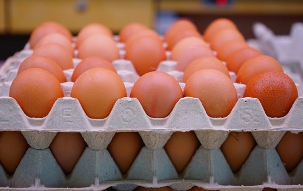 РФ планує імпортувати курячі яйця з Ірану