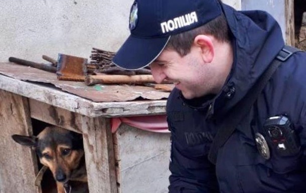 На Одещині 12-річна дівчинка різала лезом собаку
