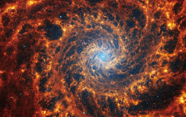 James Webb сделал фотографии 19 соседних спиральных галактик