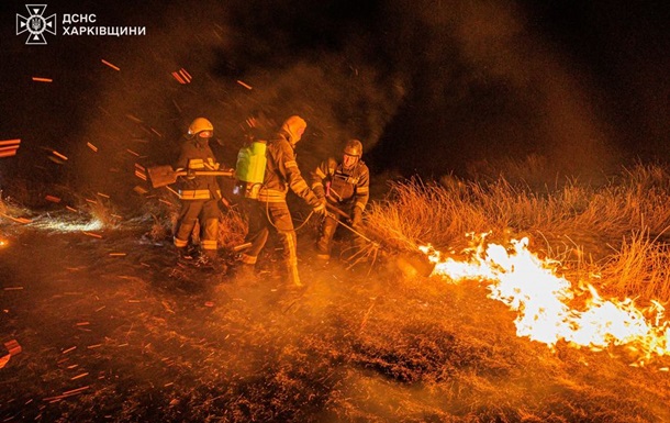 Из-за поджигателей сухой травы чуть не сгорело село под Харьковом