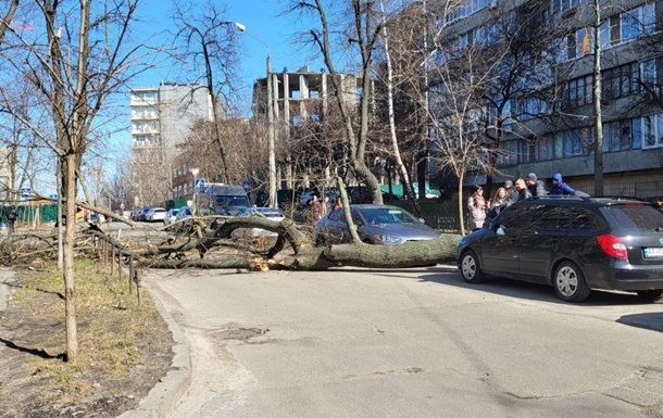 В Одессе непогода  наломала дров 
