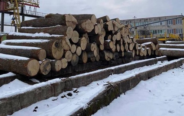 Вирубка дерев у Чорнобильському заповіднику: причетним повідомлено підозру