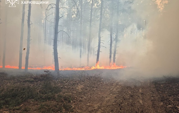 Российские обстрелы повлекли за собой большой лесной пожар на Харьковщине