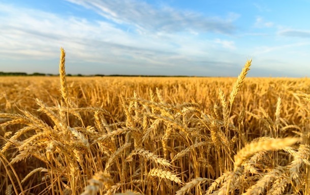 Минагрополитики прогнозирует меньший урожай, чем годом ранее