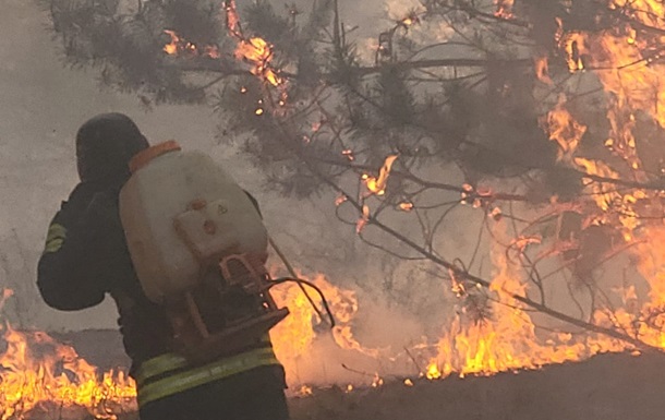 На Харьковщине из-за вражеских обстрелов загорелся лес