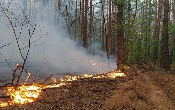 В Луганской области бушуют лесные пожары