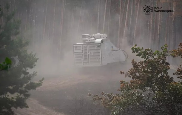 В Харьковской области ликвидировали масштабный лесной пожар: привлекали саперов