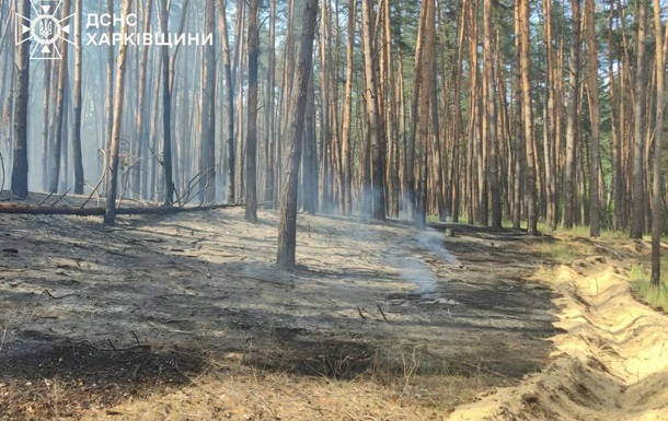 На Харківщині ворожі обстріли спричинили лісову пожежу