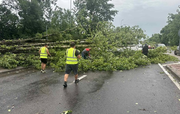 Садовый показал последствия урагана во Львове