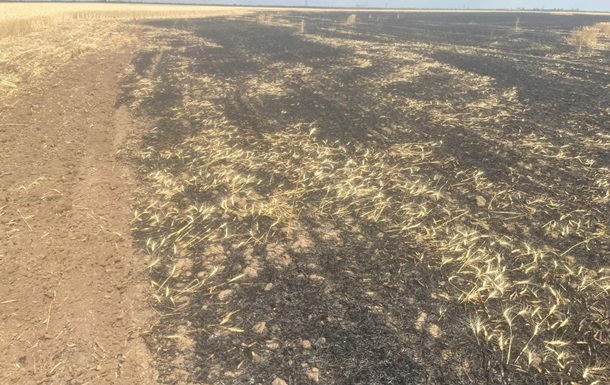 Из-за российских обстрелов на Херсонщине сгорело 25 га пшеницы