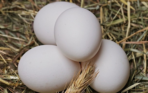 ЄС відновив мита на українські яйця та цукор