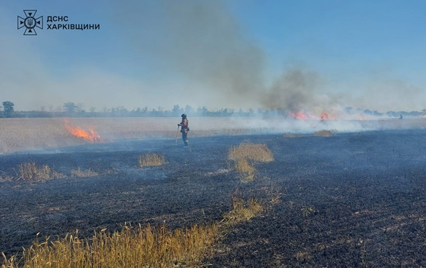 После российского обстрела в Харьковской области загорелось 20 га пшеницы