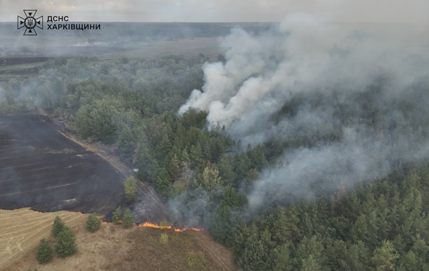 На Харківщині другий день гасять лісову пожежу