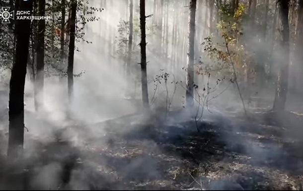 На Харківщині понад чотири доби горів ліс