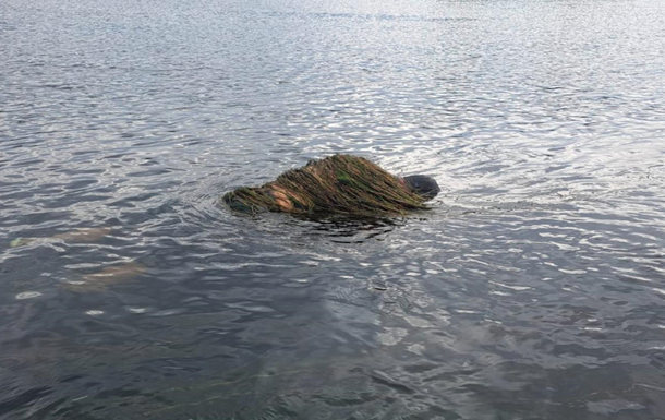 У Дністрі виявили обвитого водоростями потопельника