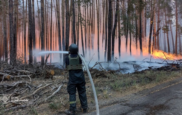 В нацпарке Донецкой области ликвидировали лесной пожар, бушующий 8 дней