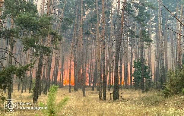 Лісова пожежа на Харківщині охопила майже 1 тис. га