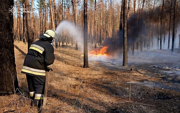 На Харківщині локалізували масштабну лісову пожежу