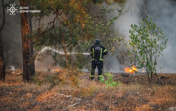 У Лиманському лісництві ліквідували лісову пожежу