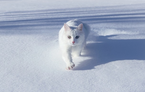 Гороскоп для знаков зодиака на 24 января 2025 года