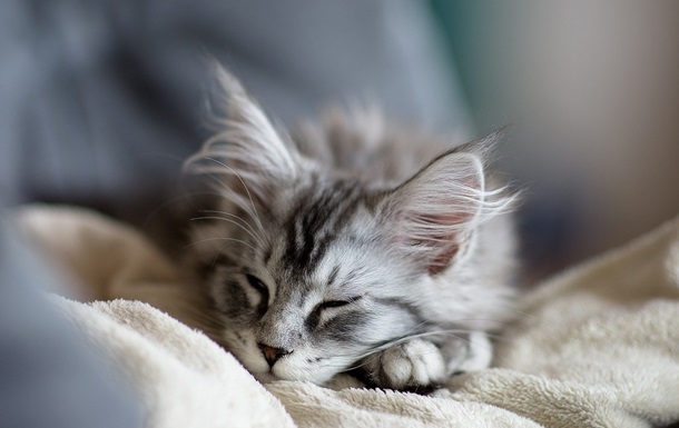 Свята 24 січня 2025 року: іменини, прикмети