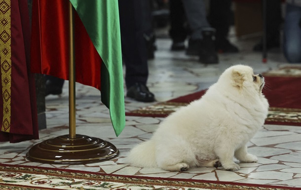 Собака Лукашенко справил нужду на участки, где голосовал хозяин