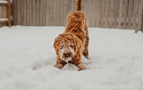 Гороскоп для знаков зодиака на 6 февраля 2025 года