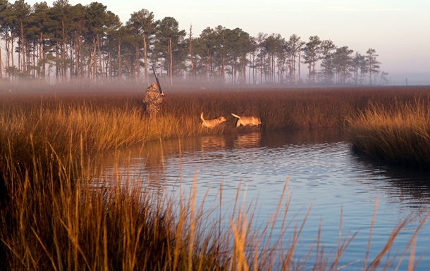 В Україні створять систему  Мисливець 